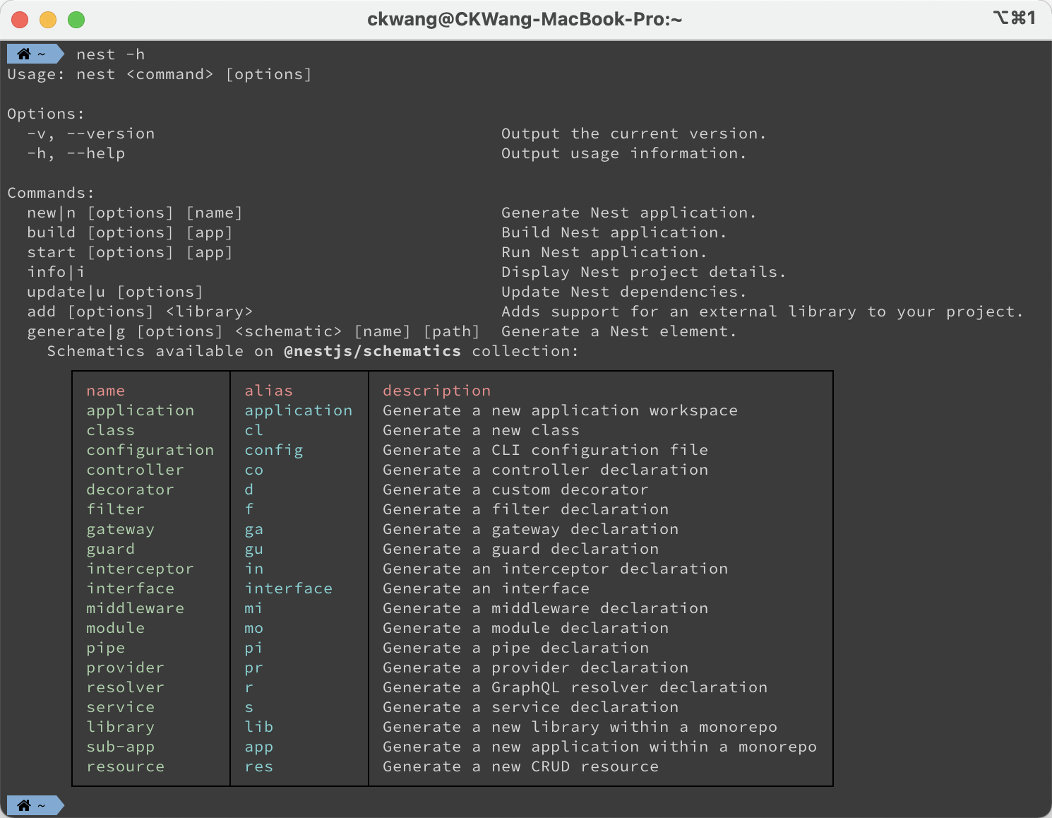 圖 4：Nest CLI 指令列表